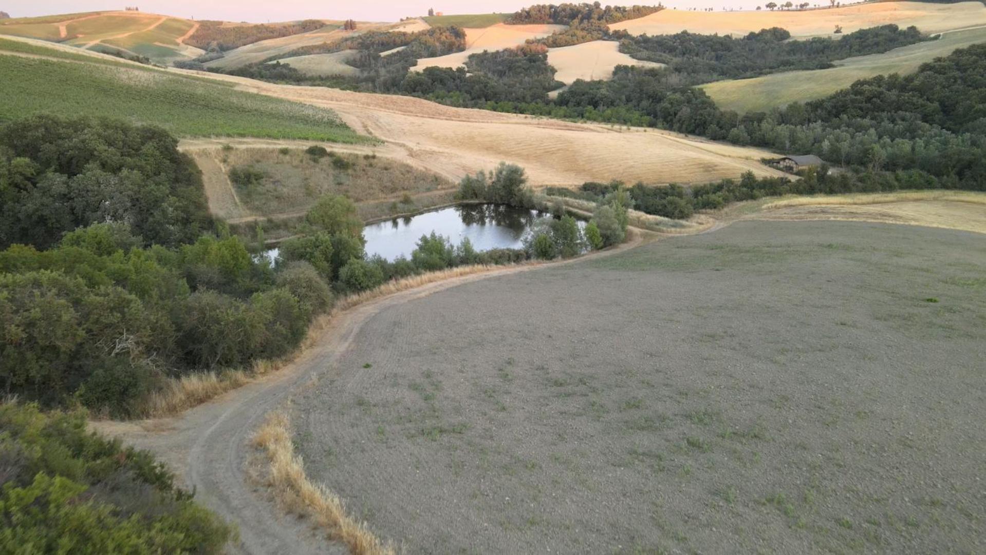 Agriturismo Il Torrione Lecchi Exterior foto